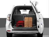  Trunk props photo